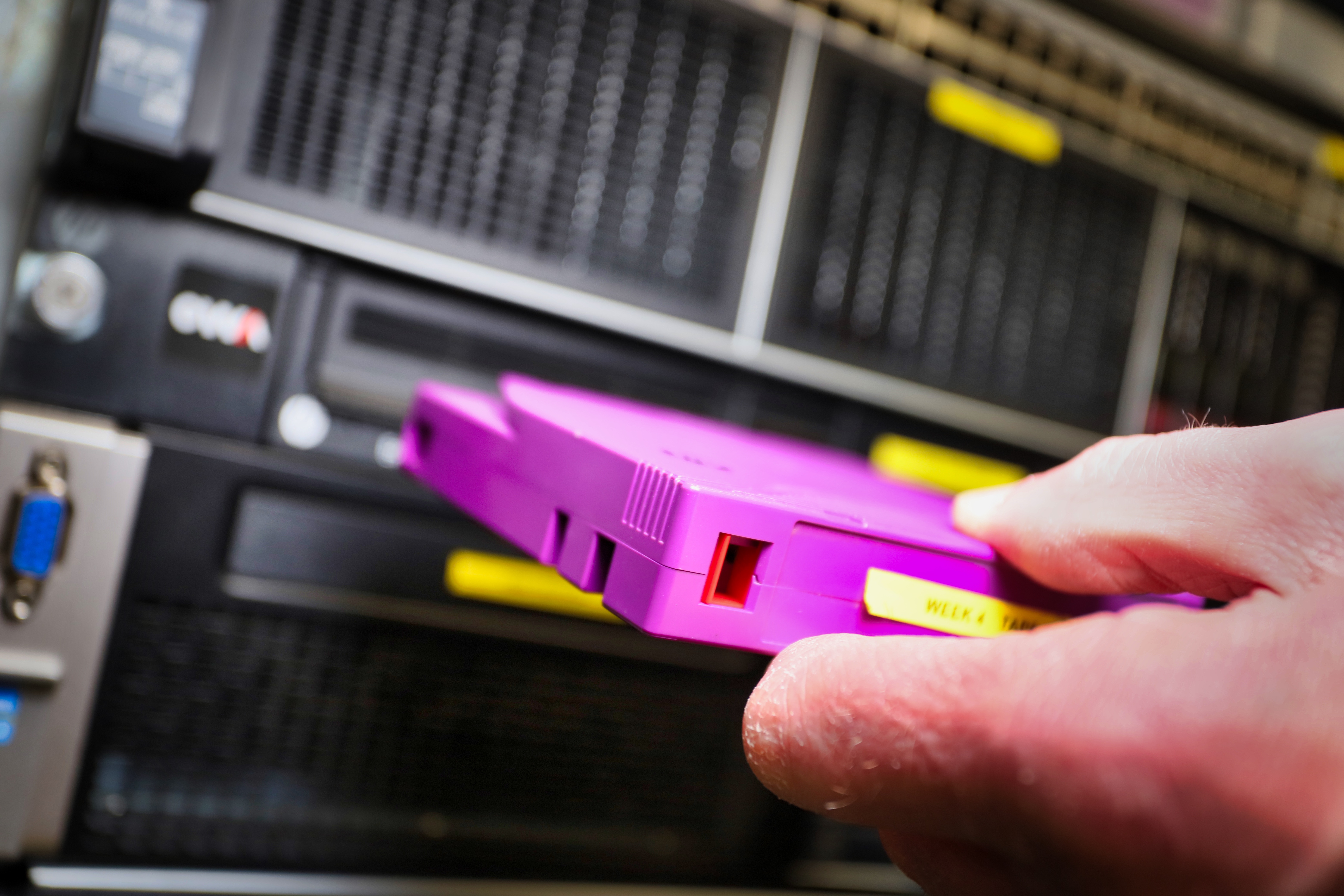 Hosting and supporting database development