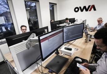 OWA team members working in an office, showcasing a modern space for Web Application Development projects.