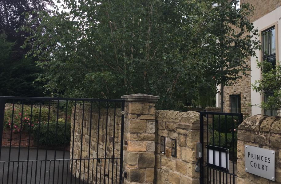 Orchard Court Management