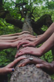 A number of people shown with hands resting on a tree trunk